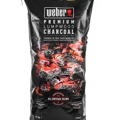 Castorama Sac De Charbon De Bois Weber 10kg Dont 1kg Gratuit