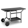 Castorama Table Roulante En Acier Pour Plancha Forge Adour -Fournitures De Barbecue Soldes table roulante en acier pour plancha forge adour8436550202564 01c FR CF